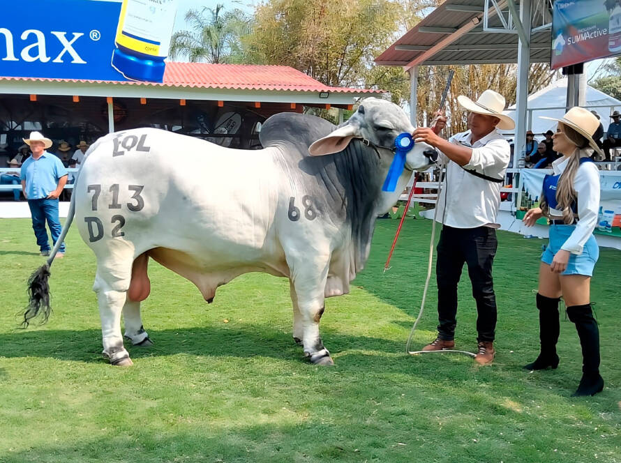 Feria Ganadera Durán 2025