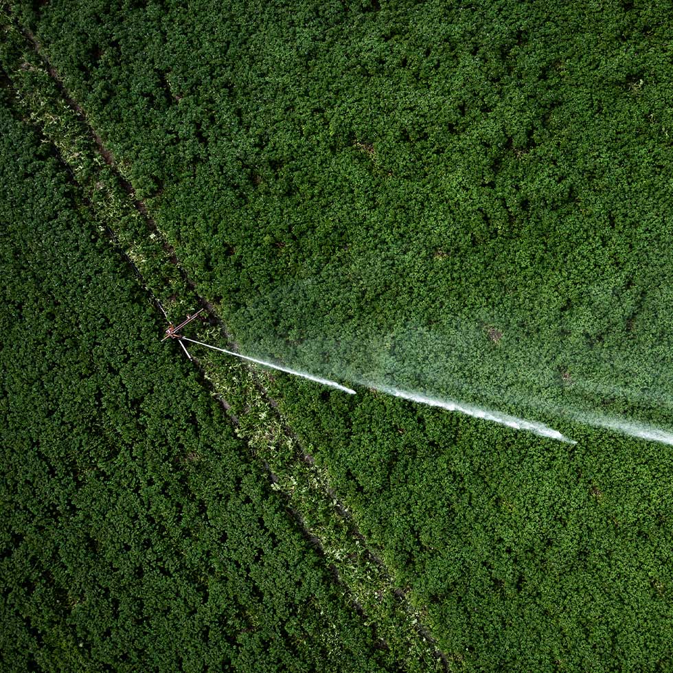 Aerofumigacion Ecuador
